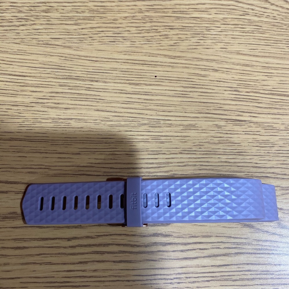 Fitbit Wristband